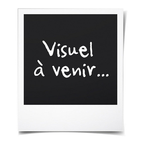 V2H62BEC99AAF77BA578E8E51EEFE70811AR5780108P6